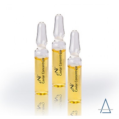 Caviar Concentrate Ampoule